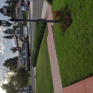 A peaceful residential neighborhood with well-maintained lawns and a lamp post lining the street.