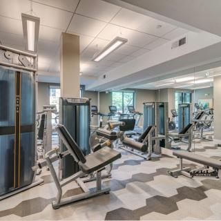 A modern gym equipped with various exercise machines and weights.