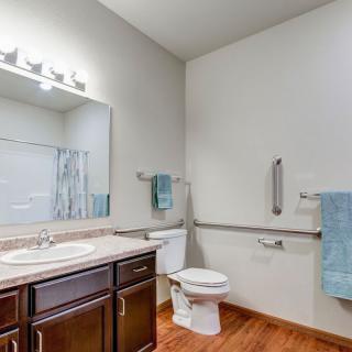 A well-lit bathroom with a sink, mirror, toilet, and wooden cabinets.