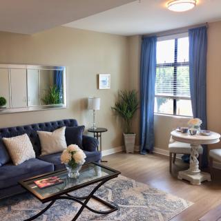 A cozy living room with a blue sofa, coffee table, and decorative pillows, complemented by indoor plants and a window with blue curtains.