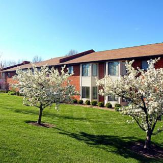 A row of apartments with blooming trees and a well-maintained lawn on a clear spring day.