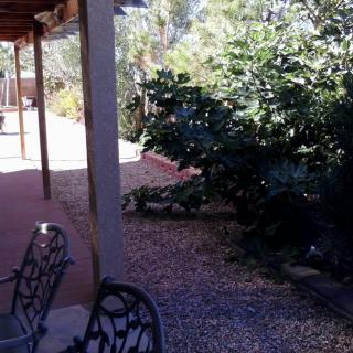 A sunny patio with chairs and a garden view.