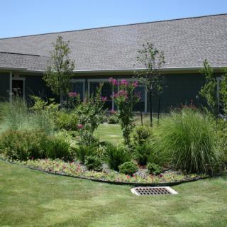 A vibrant garden with various plants and shrubs in front of a residential house.