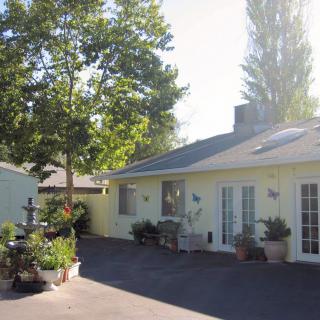A sunny view of a residential house with a driveway and surrounding plants.