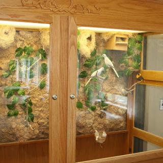 A well-designed enclosure for reptiles featuring natural elements and a wooden frame.
