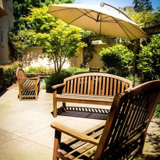 A sunny garden patio with wooden benches and a large umbrella, surrounded by lush greenery.