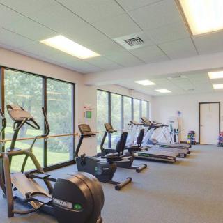 A bright and modern gym with various cardio equipment lined up against large windows.
