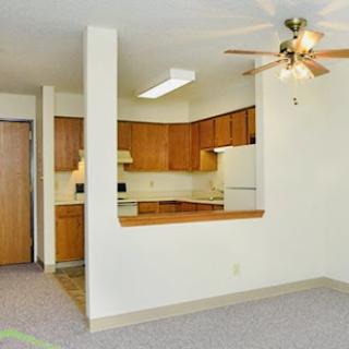 A spacious apartment featuring a living room that opens up to the kitchen, complete with wooden cabinets and a ceiling fan.