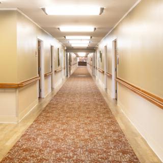 A well-lit hallway featuring carpeted flooring and lined with doors on either side.