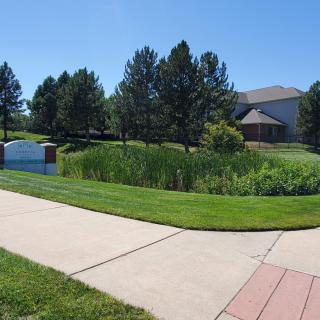 A serene suburban landscape featuring a pond surrounded by trees and grass, with houses in the background.