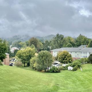 A scenic view of suburban houses surrounded by lush greenery under a cloudy sky.
