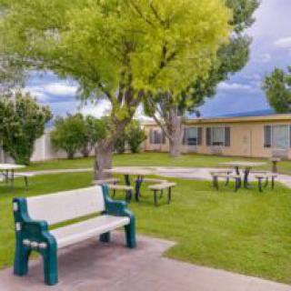 A peaceful courtyard with benches and picnic tables surrounded by trees and a building.
