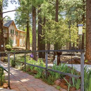 A serene pathway leading to a house nestled among tall pine trees in a lush forest setting.