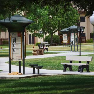 A serene park scene with benches and a winding pathway surrounded by lush greenery.