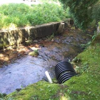 A peaceful stream flowing alongside a grassy bank, with drainage pipes visible.