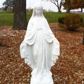 A white statue of the Virgin Mary displayed outdoors in a garden setting.