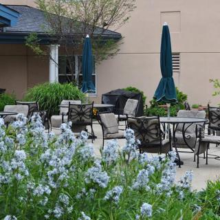 A tranquil outdoor patio area featuring tables, chairs, and umbrellas surrounded by blooming flowers.