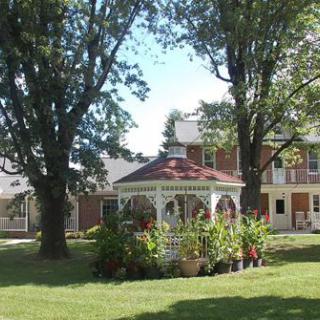 A charming garden gazebo surrounded by lush greenery and tall trees, with a house in the background on a sunny day.