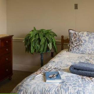 A cozy bedroom with a neatly made bed, potted plant, and a wooden dresser.