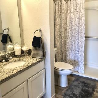 A well-organized bathroom with a sink, mirror, toilet, and shower.