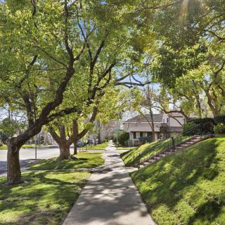 A sunny suburban street lined with trees and houses.
