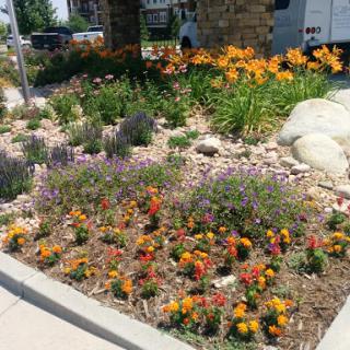 A vibrant garden filled with a variety of colorful flowers and stones, showcasing beautiful landscaping.