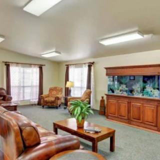 A cozy living room featuring leather furniture, an aquarium, and ample natural light.
