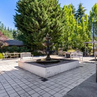 A tranquil courtyard featuring a central fountain surrounded by trees and benches.