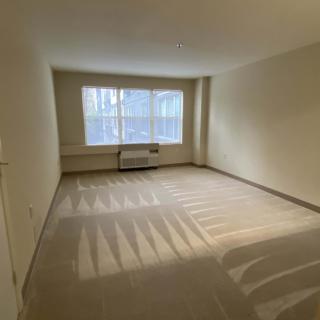 A sunlit, empty room with carpeted flooring and a large window.