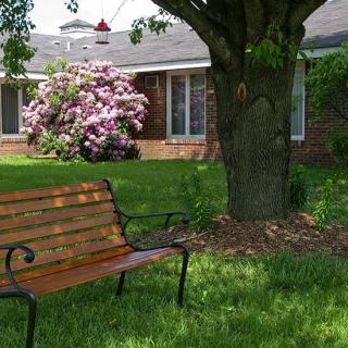 A peaceful garden scene with a wooden bench under a tree, near a house surrounded by blooming flowers.
