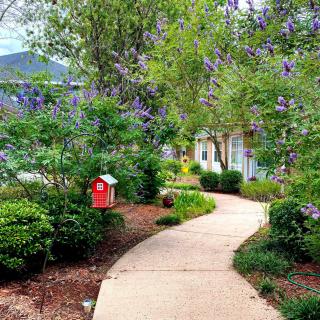 A scenic garden pathway surrounded by lush greenery and blooming flowers.