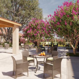 A peaceful outdoor patio area with wicker furniture surrounded by blooming trees and vibrant flowers.