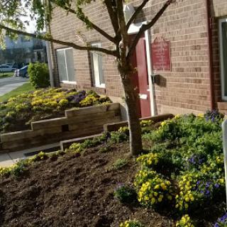 A beautifully landscaped area featuring vibrant flowers and a tree near a brick building.
