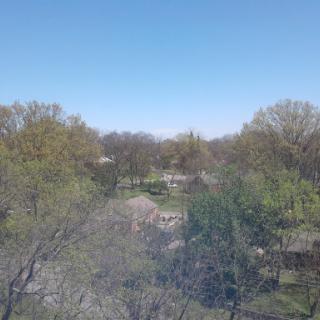 A serene view of trees and a clear blue sky.
