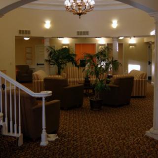 A cozy lobby with comfortable seating, decorative plants, and ambient lighting.