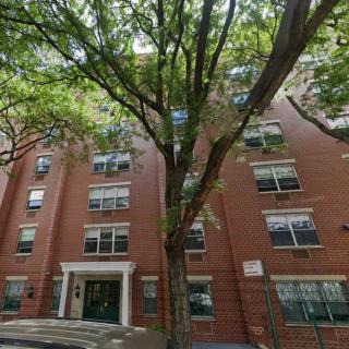 A brick apartment building with multiple windows, partially obscured by a large tree in front.