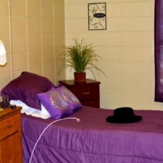 A cozy bedroom with purple bedding, featuring a hat on the bed, a potted plant on the nightstand, and a lamp.