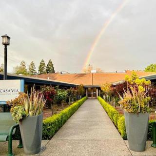 A rainbow arches over a garden pathway leading to a building, surrounded by lush greenery.