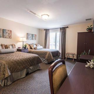 A cozy hotel room featuring two comfortable beds, elegant decor, and ample natural light.