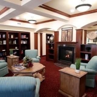 A cozy living room with a fireplace, surrounded by bookshelves and comfortable seating.