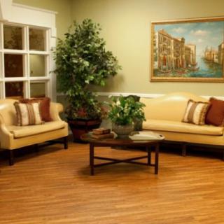 A cozy living room with two sofas, a coffee table, and decorative elements like a plant and a painting on the wall.