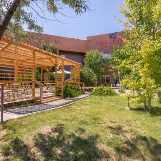A sunny outdoor space featuring a pergola, surrounded by lush greenery and trees, with a building in the background.