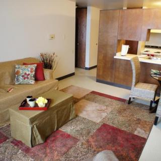 A cozy living room with modern decor, featuring a sofa and an adjacent kitchen area.