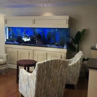 A cozy living room setup featuring a large aquarium as the centerpiece.