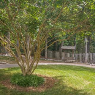 A peaceful garden scene with a tree, bench, and surrounding fence.