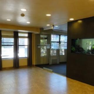 Empty lobby with large windows and a reception counter.