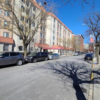 A serene urban street scene featuring parked cars and trees casting shadows on the pavement under a clear blue sky.