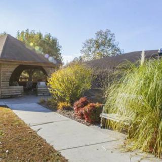 A serene garden pathway surrounded by lush greenery and vibrant foliage on a sunny day.