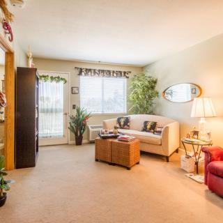 A cozy living room with a sofa, armchair, and various plants, illuminated by a floor lamp.