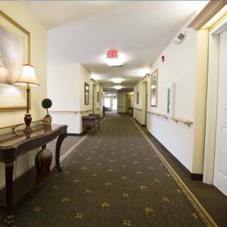 A well-lit hallway with a carpeted floor and decorative furnishings.